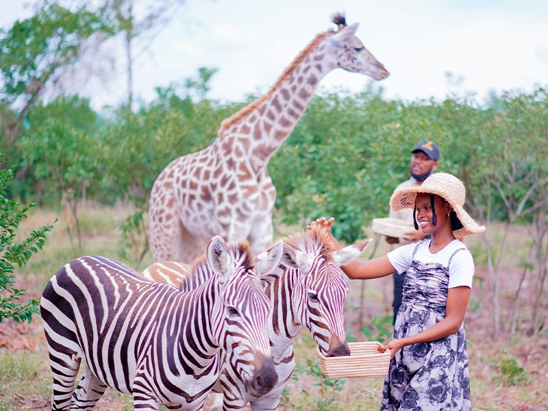 About Zakir Wildlife Park